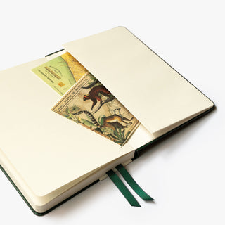 2026 Hardcover Diary