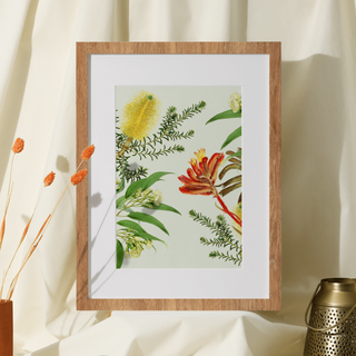 Print - Australian Native Plants