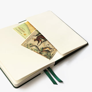 2027 Hardcover Diary