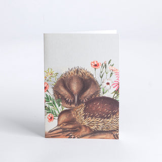 Card - Echidna