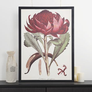 Decorative Paper - Waratah