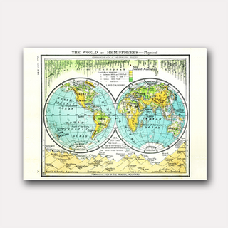 Print - World in Hemispheres Map