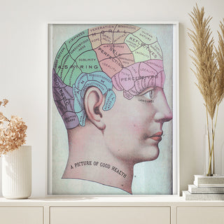 Decorative Poster - Brain