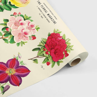 Decorative Poster - Flower Ensemble