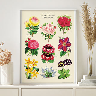 Decorative Poster - Flower Ensemble