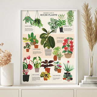 Decorative Poster - House Plants