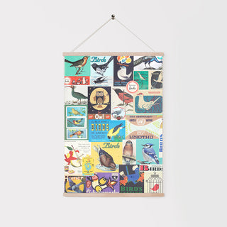 Decorative Poster - Birds Collage