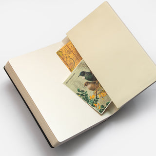 Elastic Sketchbook