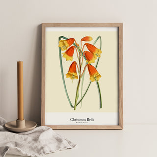 Print - Christmas Bells