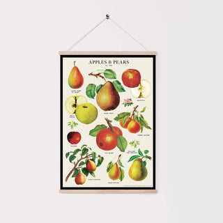 Decorative Paper - Apples and Pears