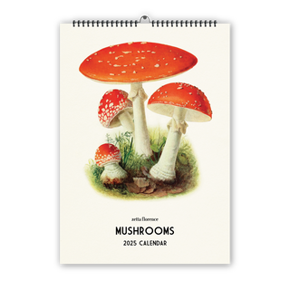 2025 Wall Calendar - Mushrooms (Pre-Order)