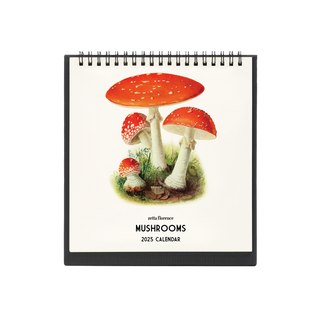 2025 Desk Calendar - Mushrooms (Preorder)