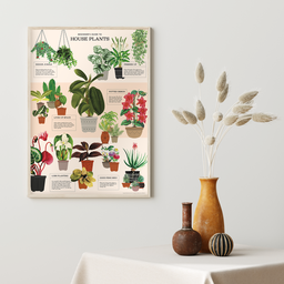 Decorative Paper - House Plants