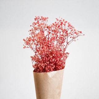 Preserved Baby’s Breath