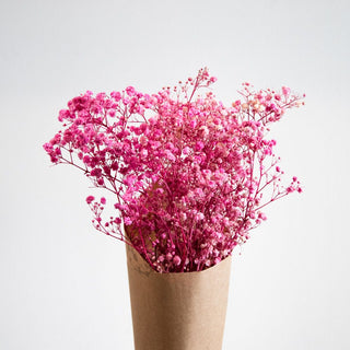 Preserved Baby’s Breath