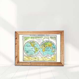 Print - World in Hemispheres Map