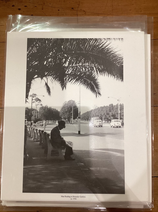 Print - Man reading at Alexandra Gardens Strizic