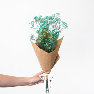 Preserved Baby’s Breath