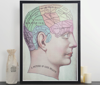 Decorative Poster - Brain