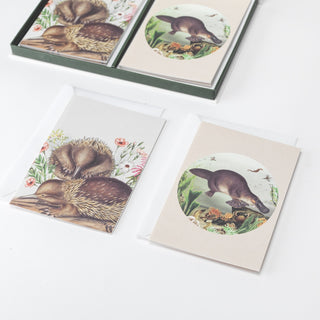 Boxed Cards - Animals - Set of 8