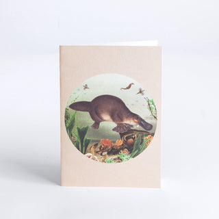 Card - Platypus